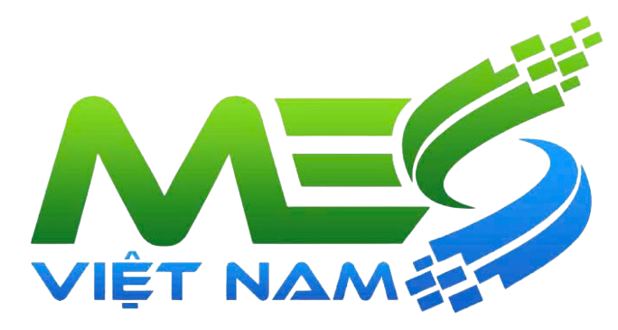 Mees Việt Nam